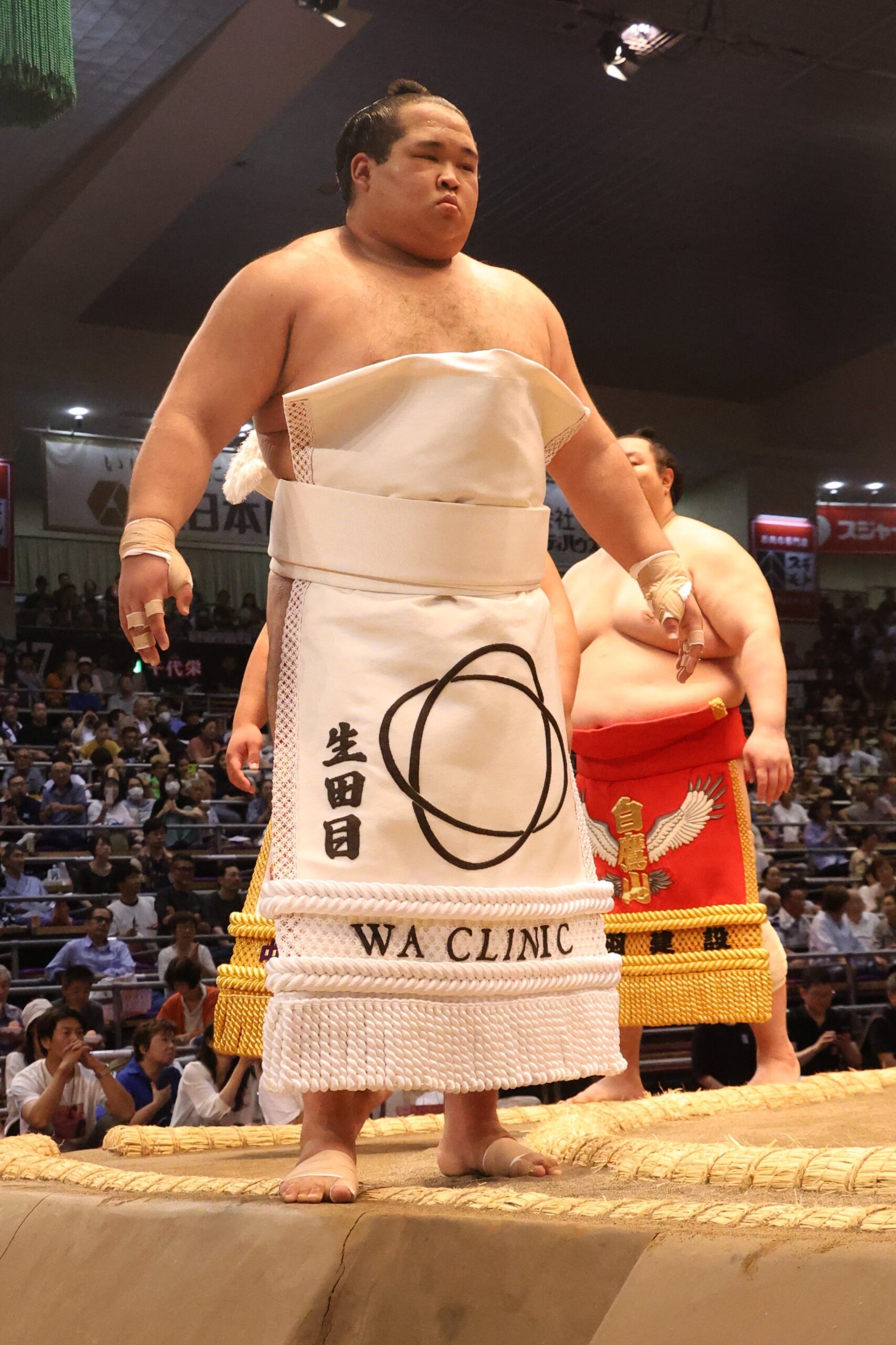 大相撲のハーフ力士14選!国際色豊な逸材!